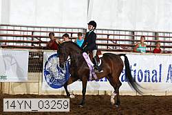 14yn_03259 thumbnail