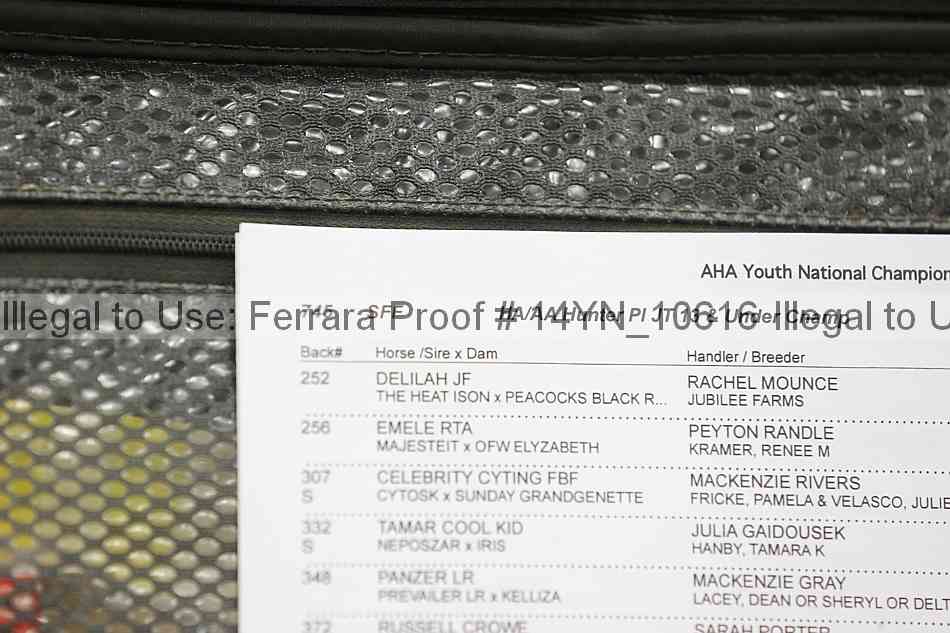 Proof Number 14yn_10616