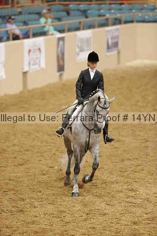 Proof Number 14yn_10629
