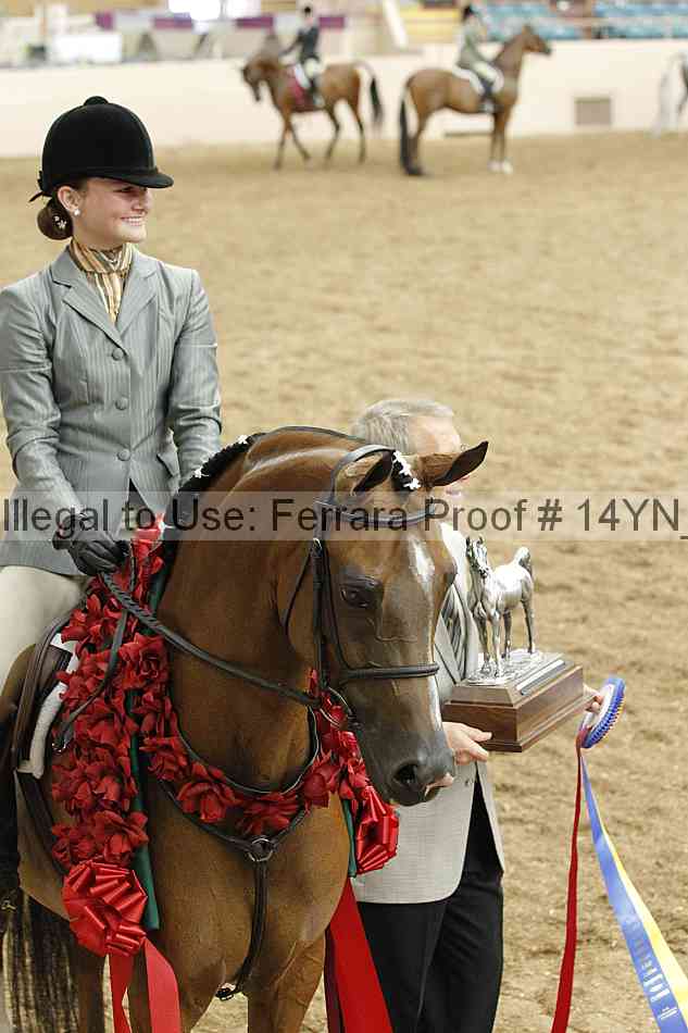 Proof Number 14yn_10715