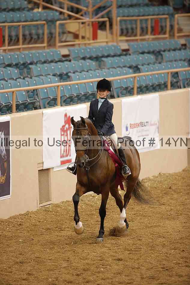 Proof Number 14yn_10742