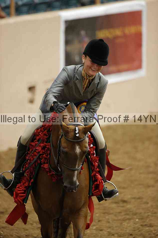 Proof Number 14yn_10778
