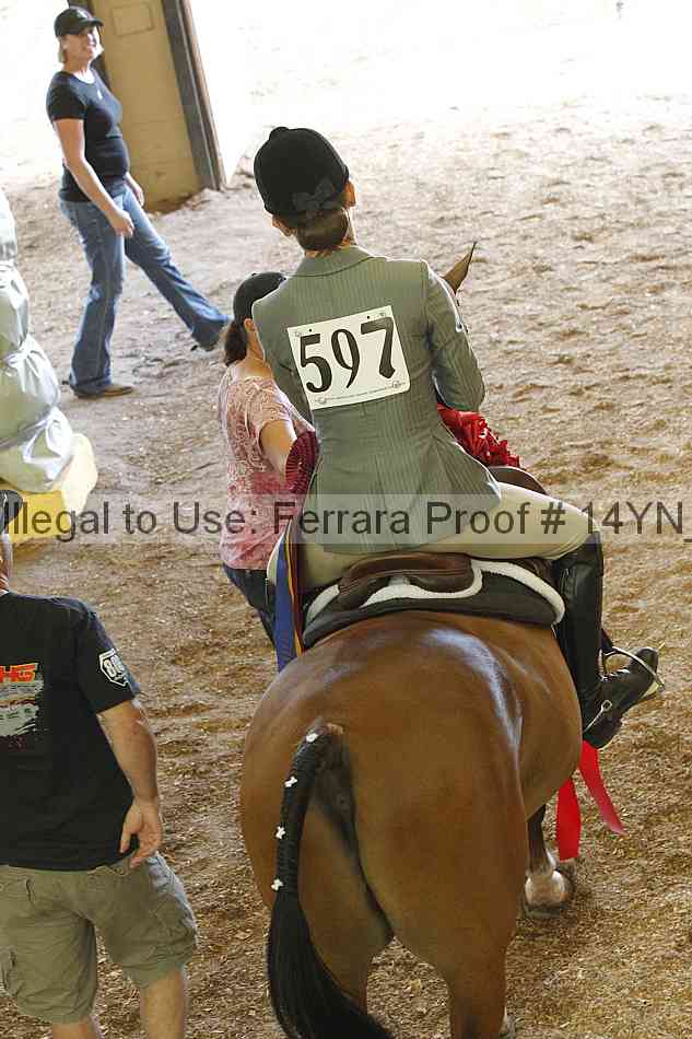 Proof Number 14yn_10790