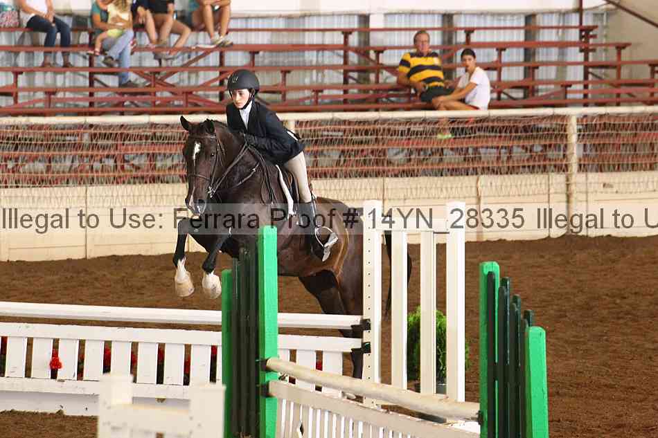 Proof Number 14yn_28335