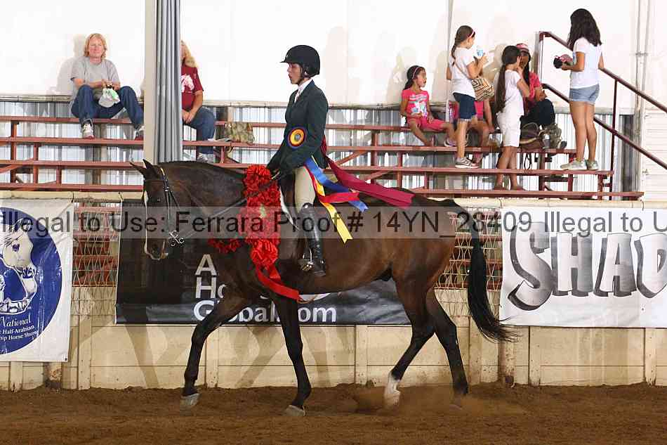 Proof Number 14yn_28409