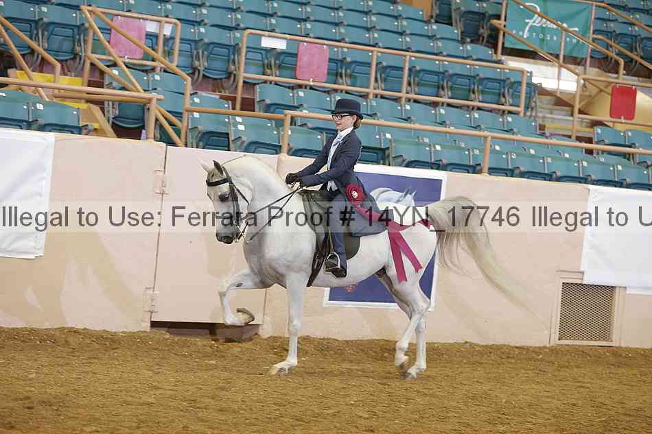 Proof Number 14yn_17746