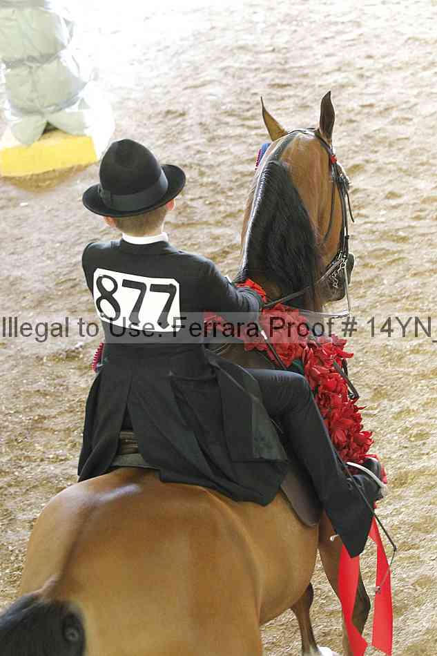 Proof Number 14yn_15994