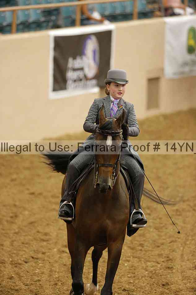 Proof Number 14yn_07440