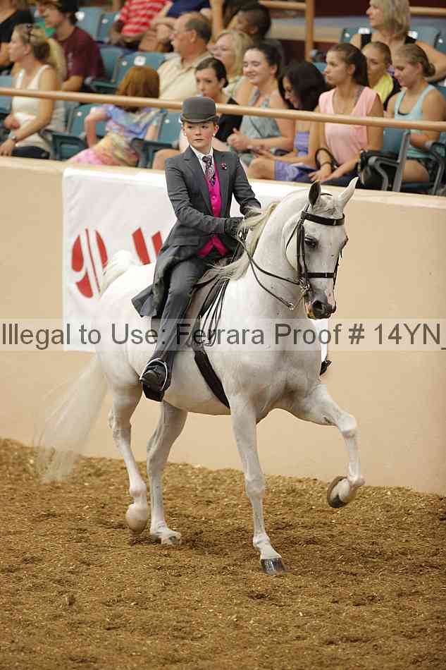 Proof Number 14yn_07471