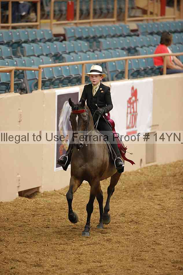 Proof Number 14yn_07582
