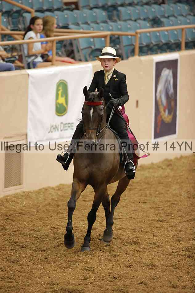 Proof Number 14yn_07584