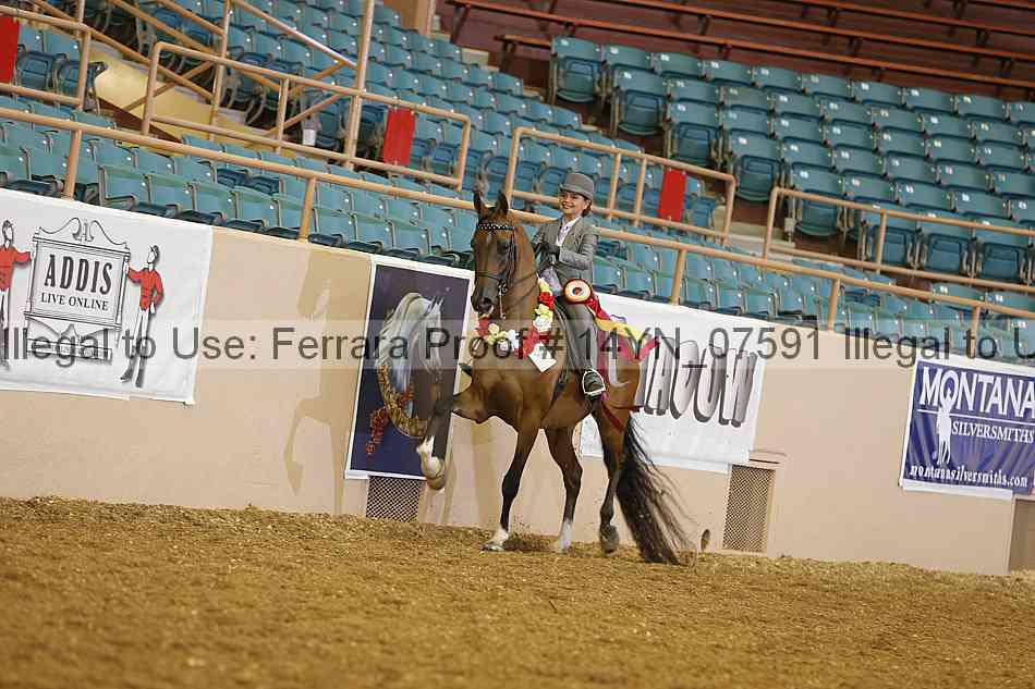 Proof Number 14yn_07591