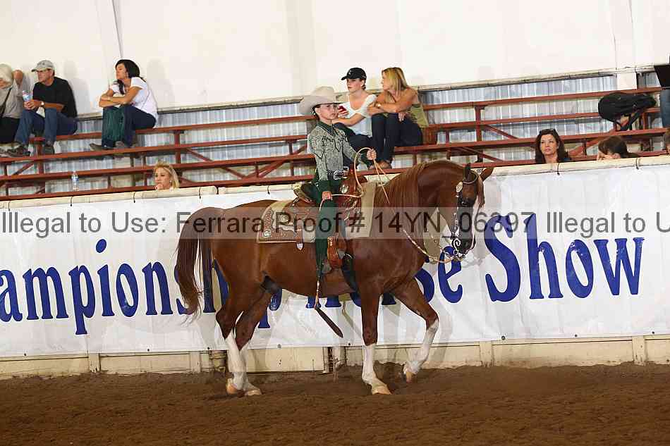 Proof Number 14yn_06397