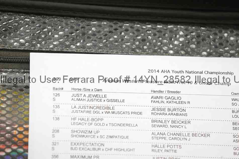 Proof Number 14yn_28582
