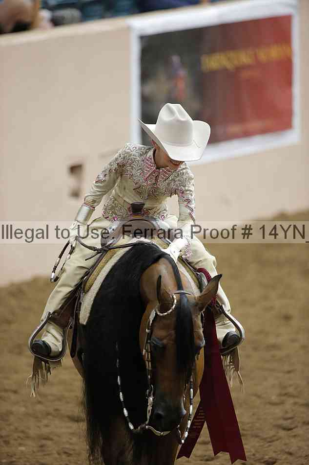 Proof Number 14yn_28707