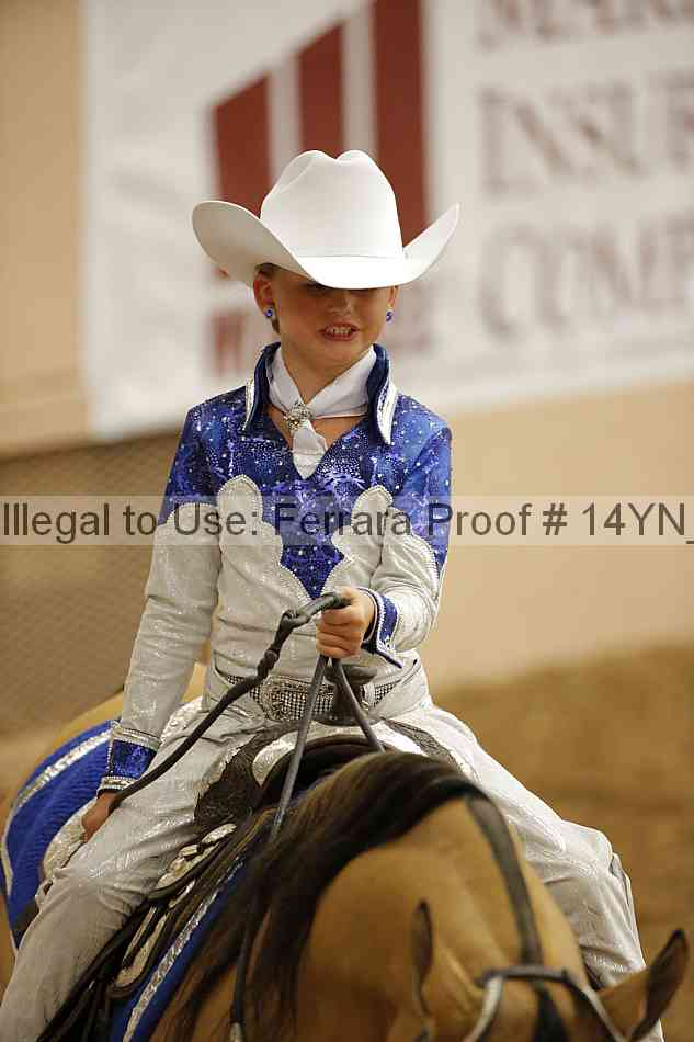 Proof Number 14yn_12052