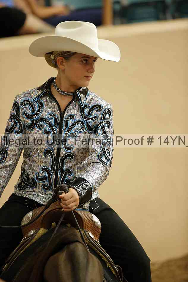 Proof Number 14yn_12055
