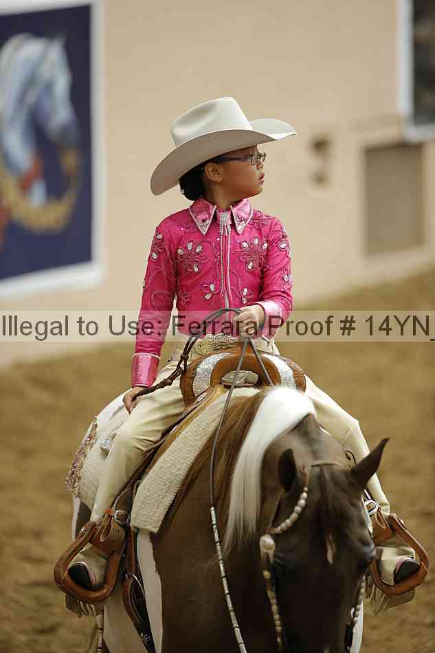 Proof Number 14yn_12069