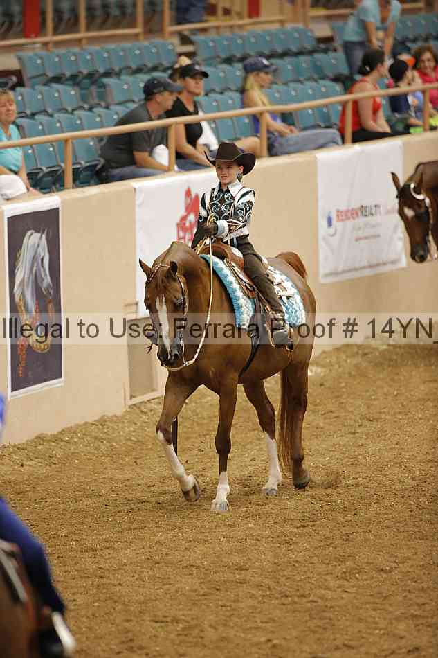 Proof Number 14yn_12074