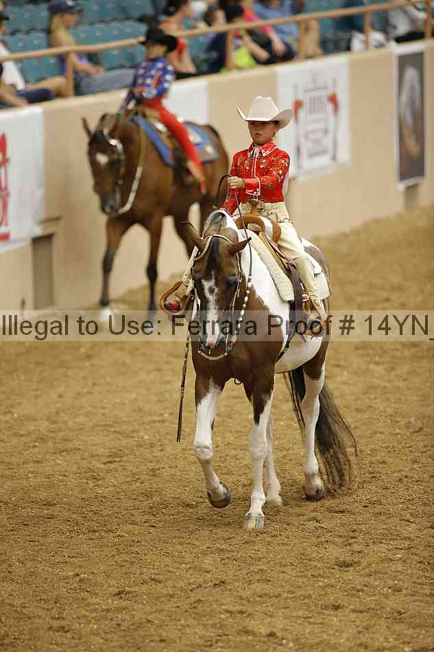 Proof Number 14yn_12075