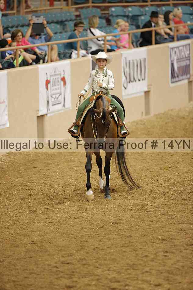 Proof Number 14yn_12078