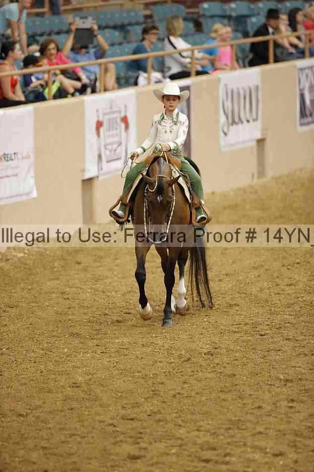 Proof Number 14yn_12080