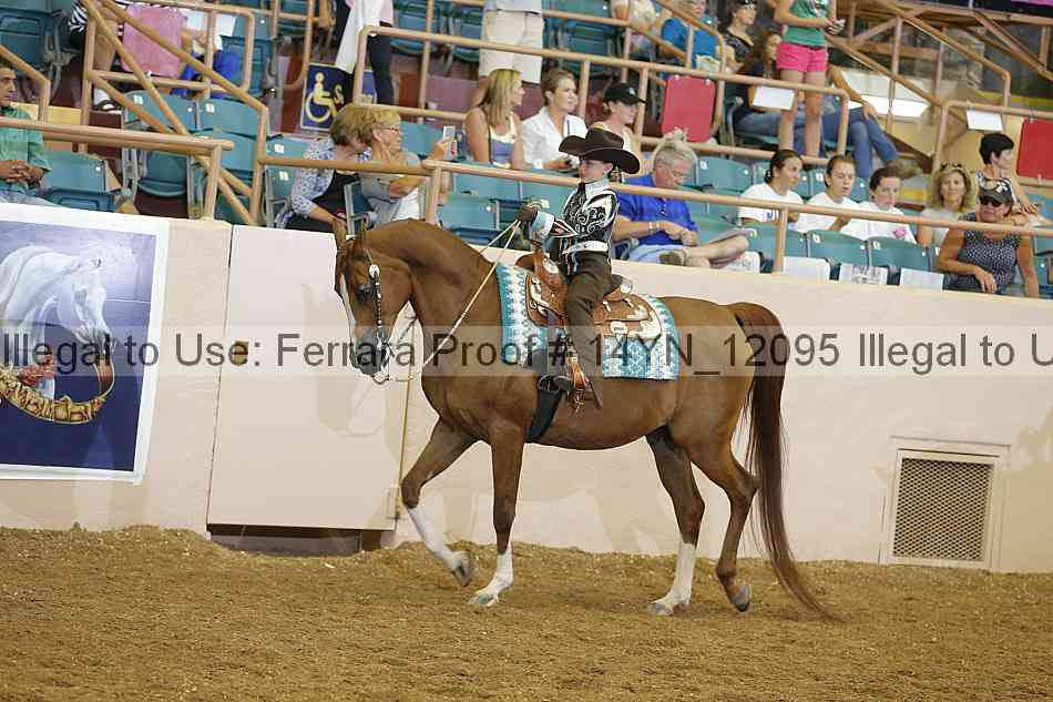 Proof Number 14yn_12095