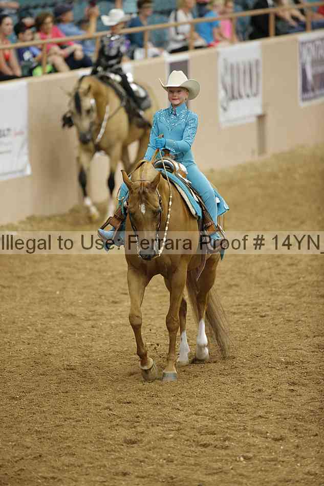 Proof Number 14yn_12105