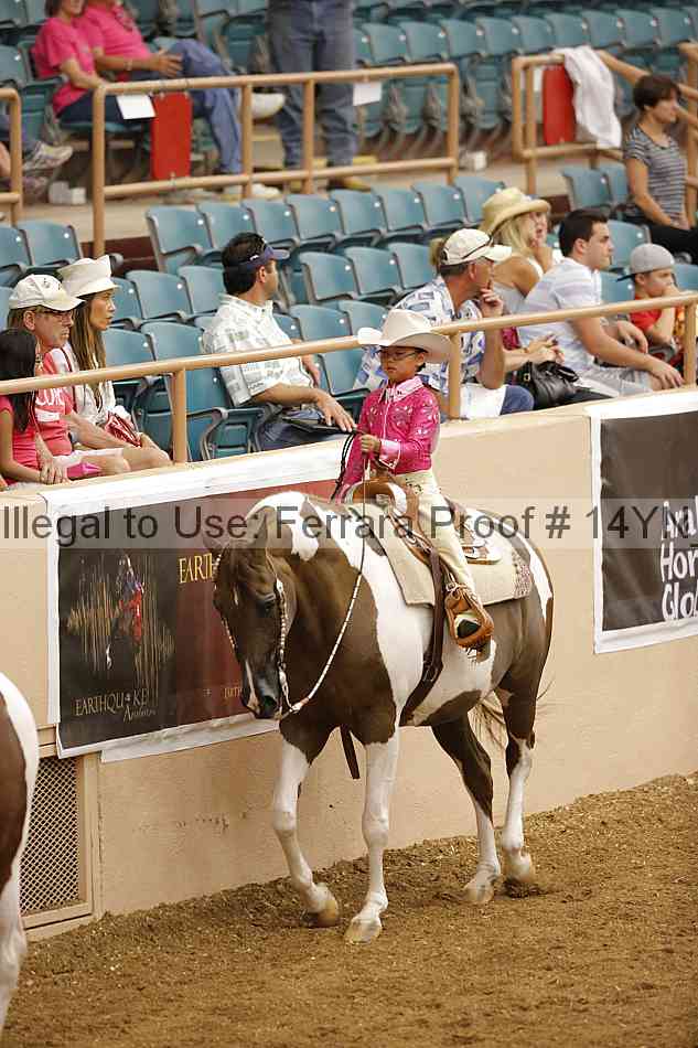 Proof Number 14yn_12107