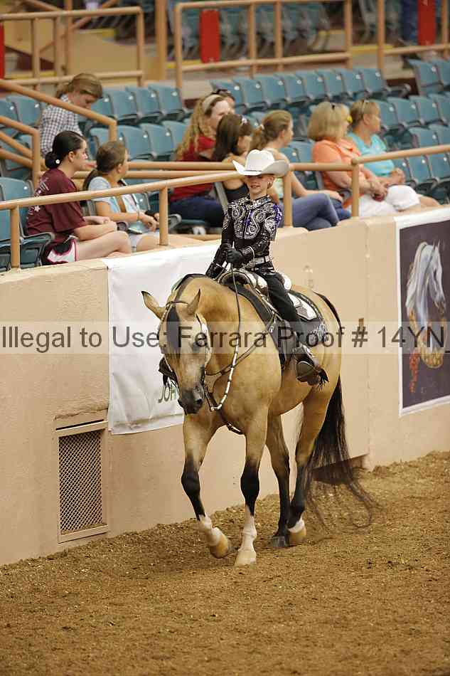 Proof Number 14yn_12109