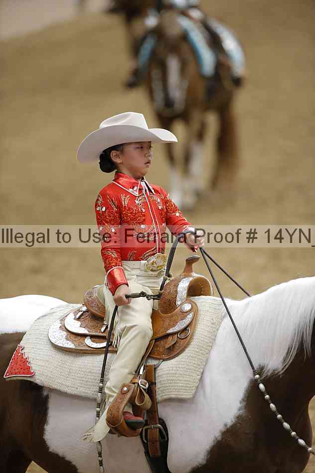 Proof Number 14yn_12113