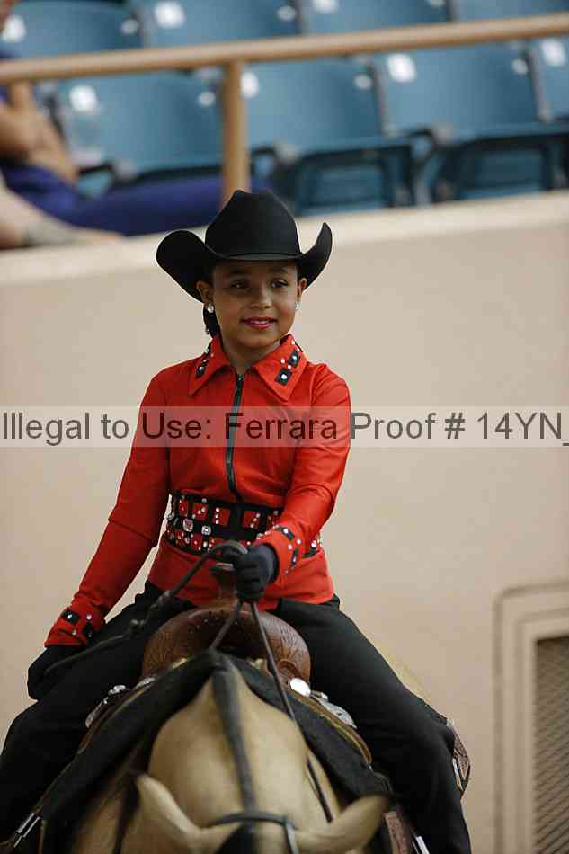 Proof Number 14yn_12120