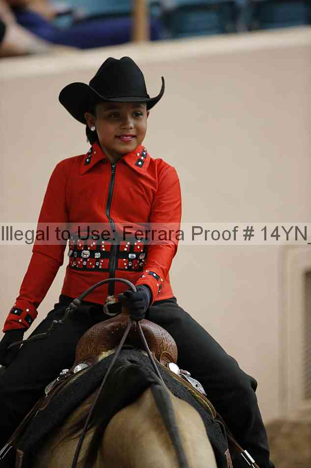 Proof Number 14yn_12121