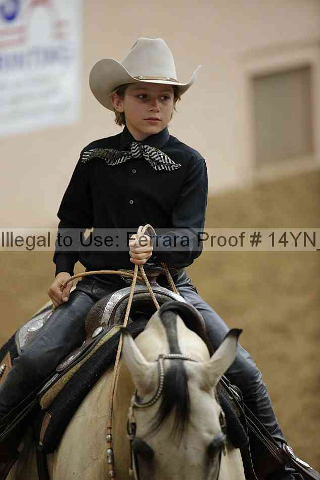 Proof Number 14yn_12123