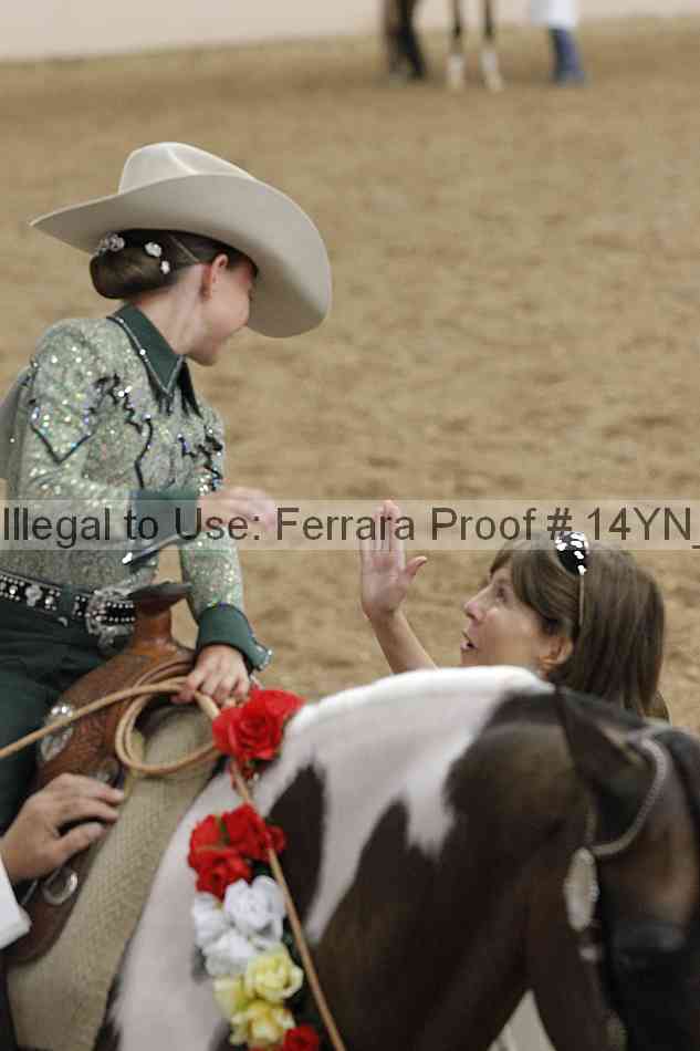 Proof Number 14yn_12162