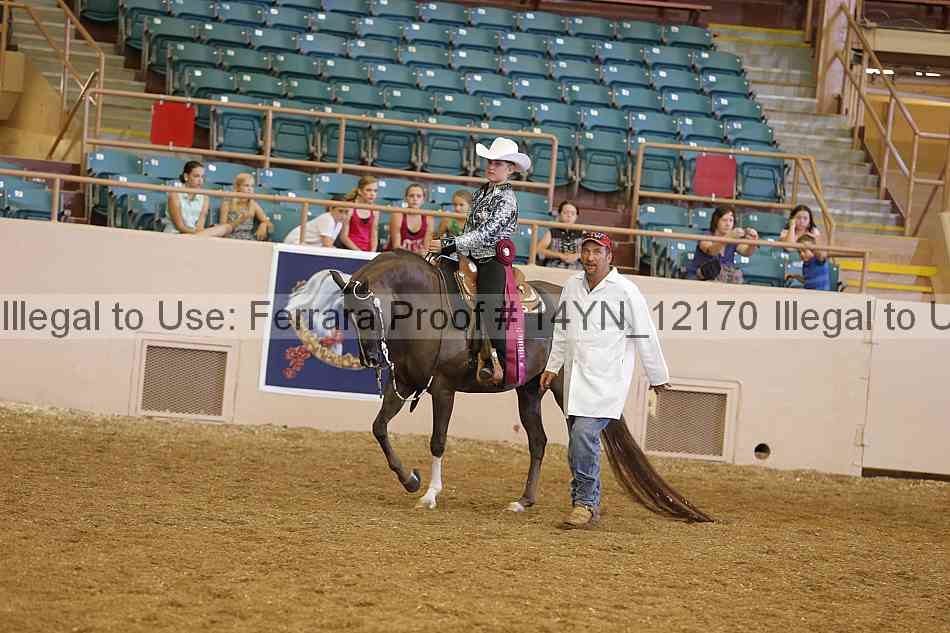 Proof Number 14yn_12170