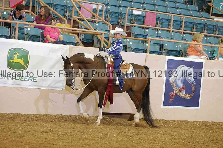 Proof Number 14yn_12193