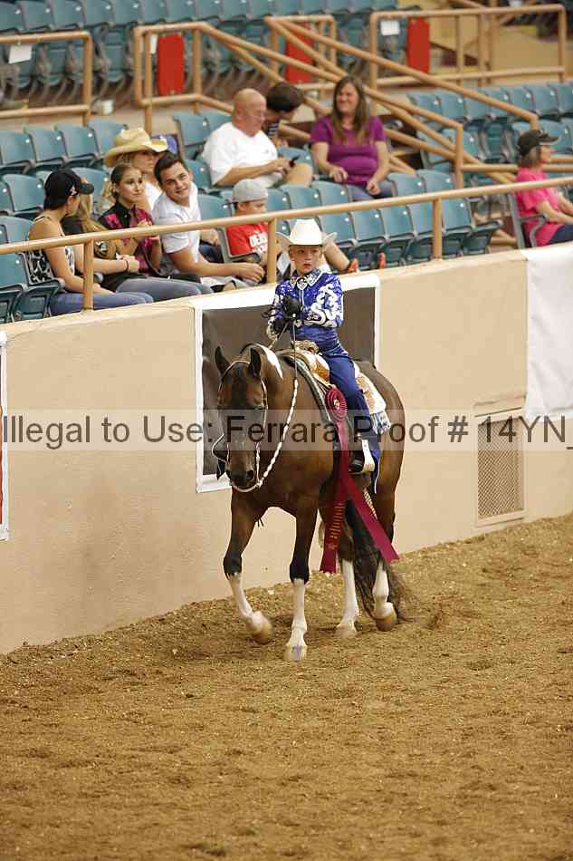 Proof Number 14yn_12195