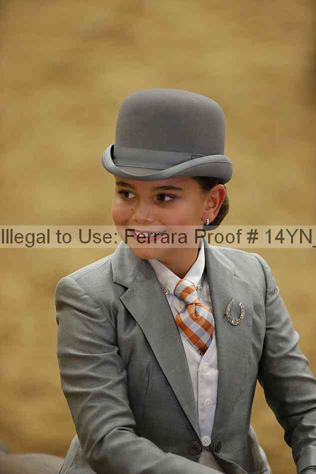 Proof Number 14yn_01303