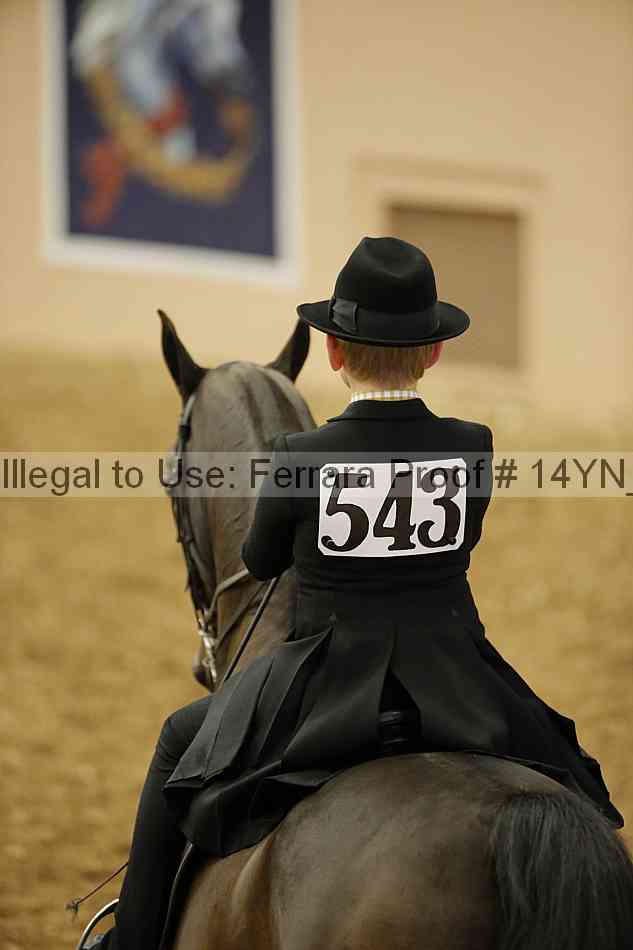 Proof Number 14yn_01311