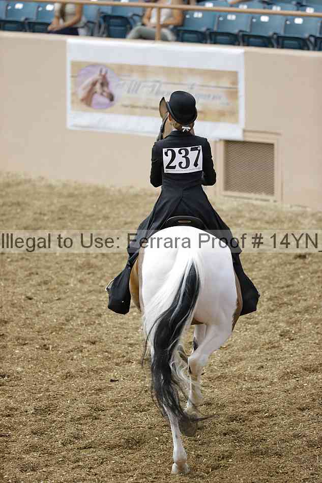 Proof Number 14yn_01322
