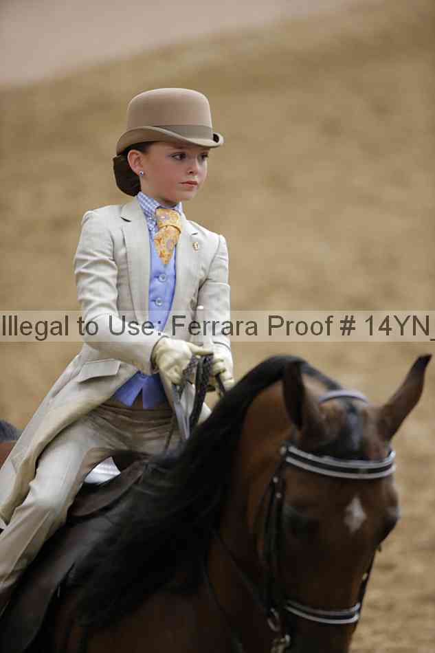 Proof Number 14yn_01344