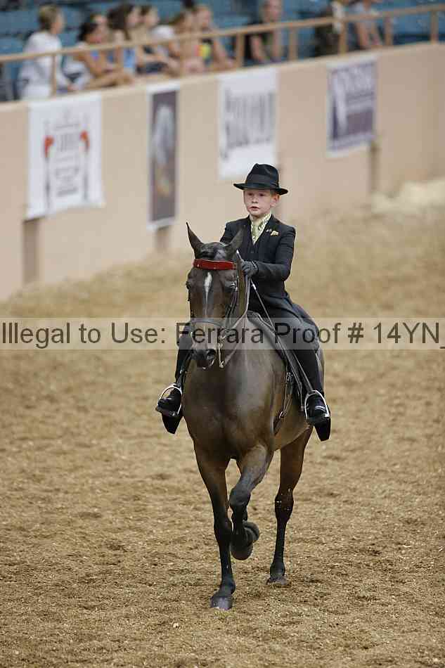 Proof Number 14yn_01350