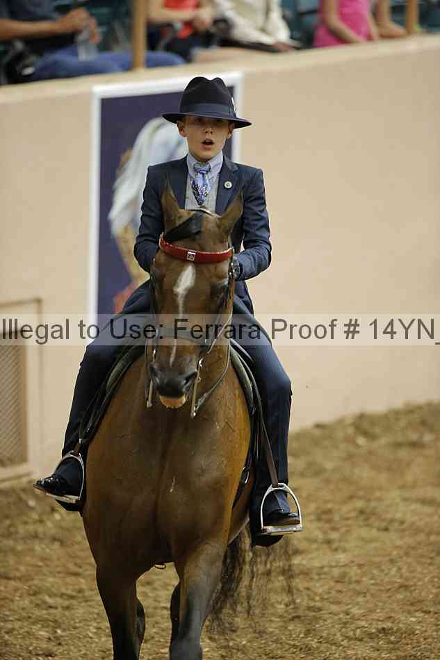 Proof Number 14yn_01353