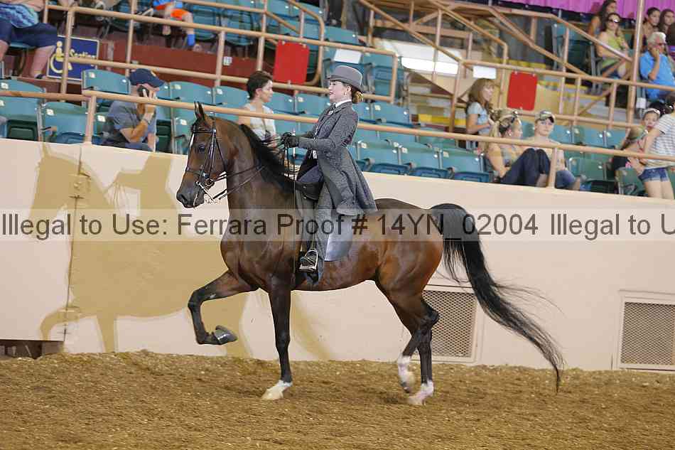 Proof Number 14yn_02004