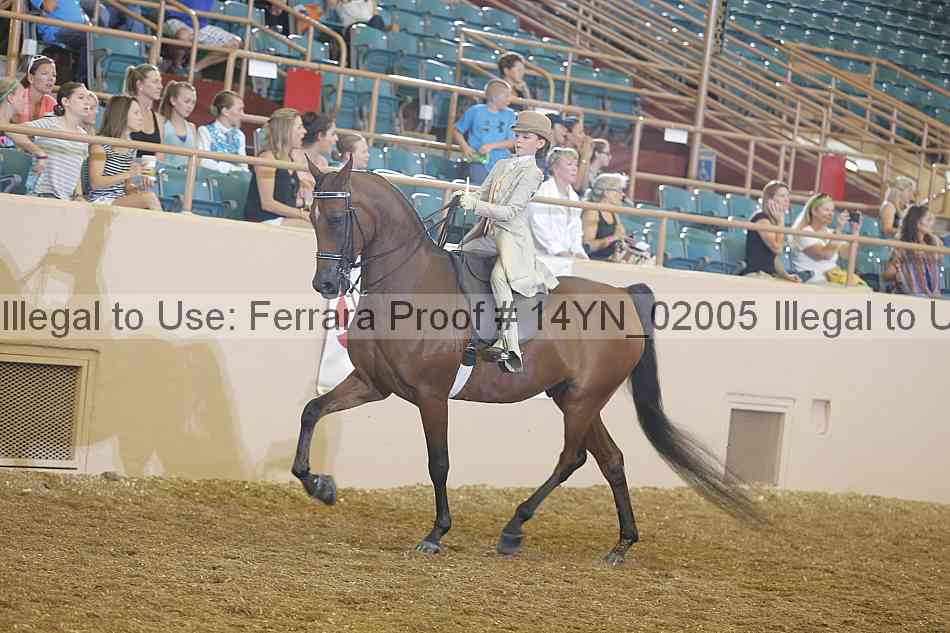 Proof Number 14yn_02005