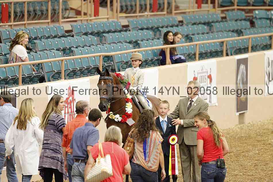 Proof Number 14yn_02058