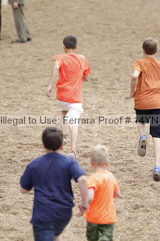 Proof Number 14yn_02079