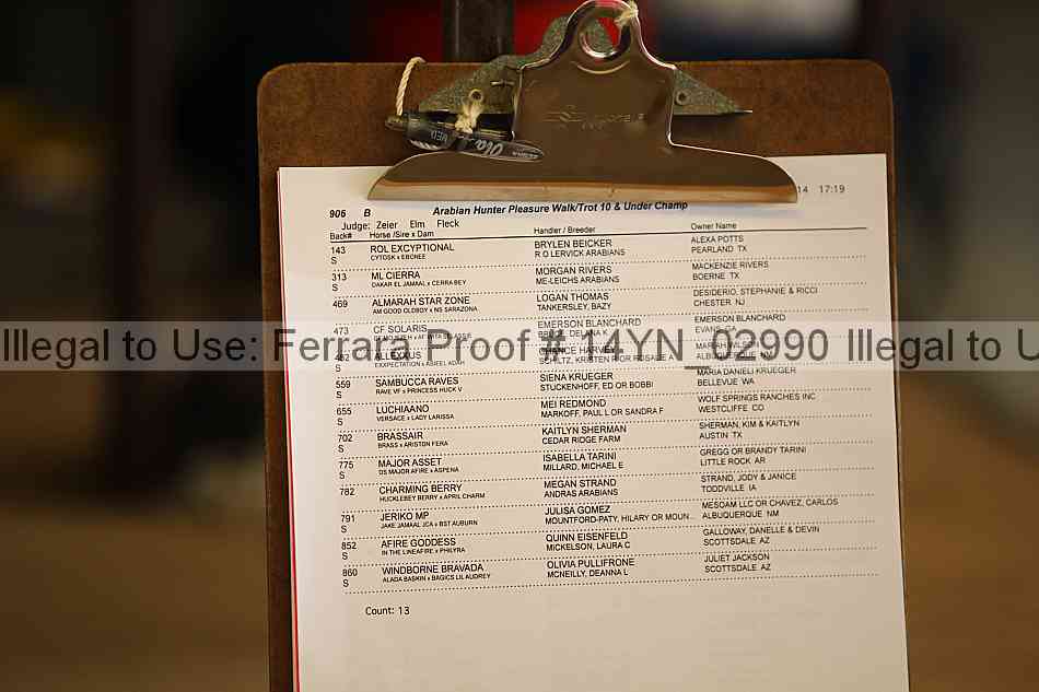 Proof Number 14yn_02990