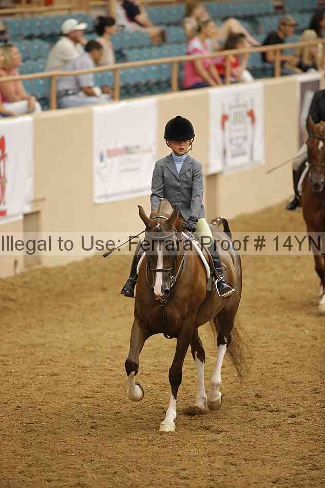 Proof Number 14yn_18228